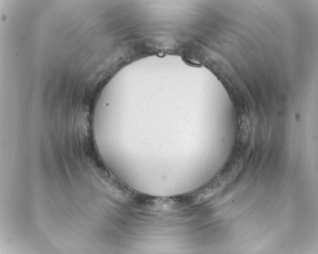 X0000088620612200706151854