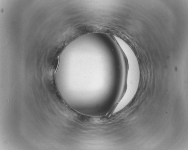 X0000088620613200706151854