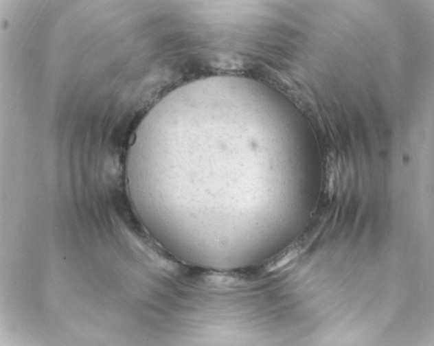 X0000088620614200706151854