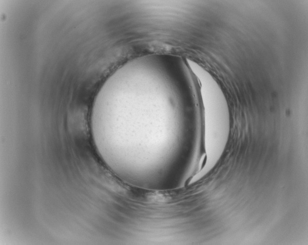 X0000088620616200706151854