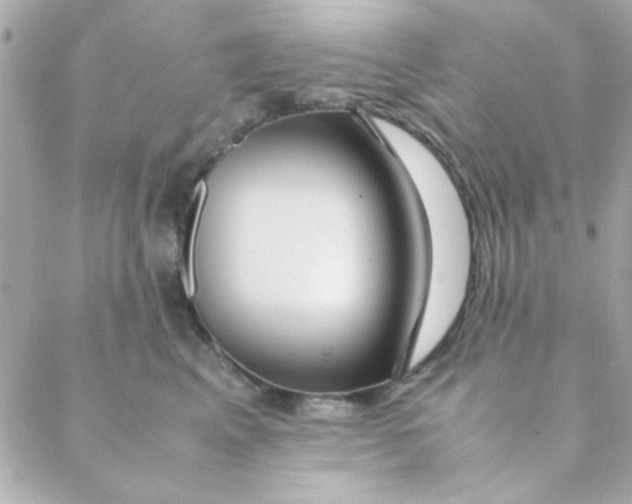 X0000088620617200706151854