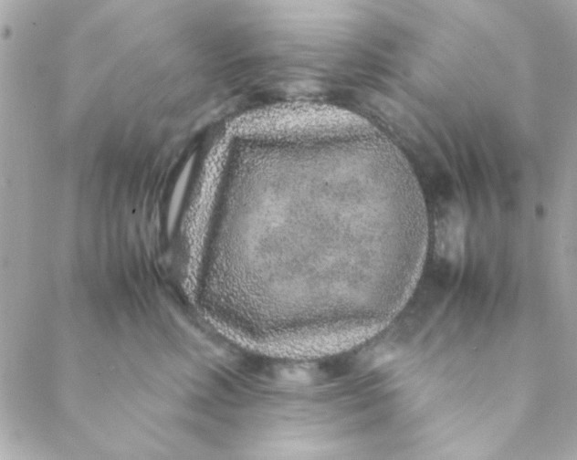 X0000088620618200706151854