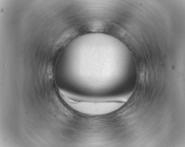 X0000088620620200706151854