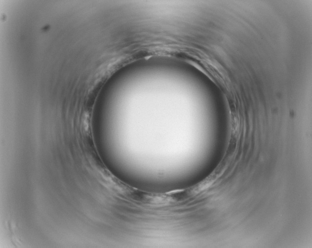 X0000088620621200706151854