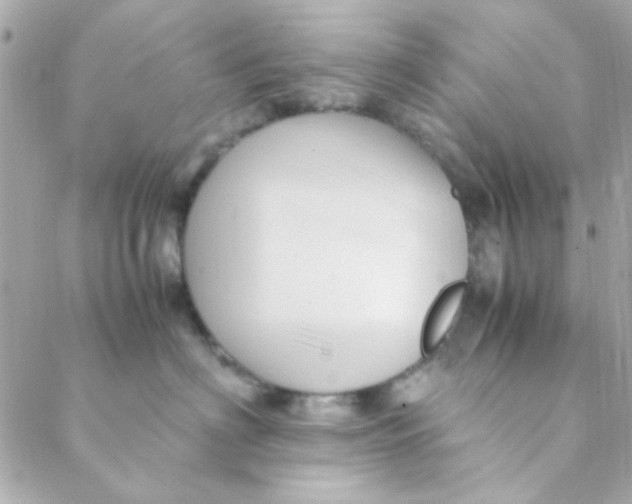 X0000088620622200706151854