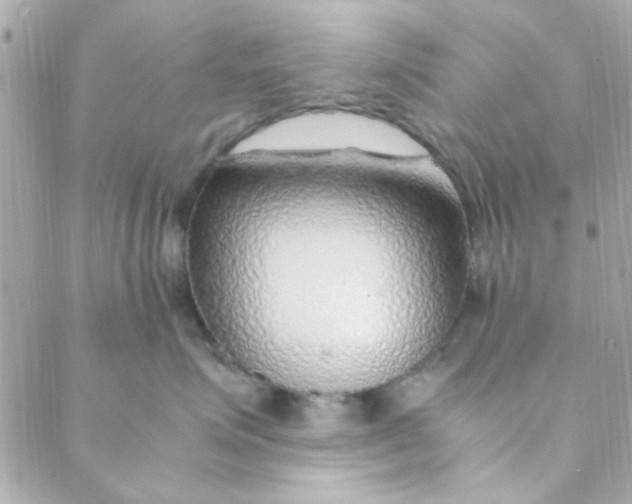 X0000088620623200706151854