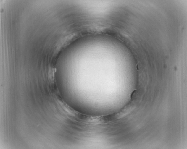 X0000088620624200706151854