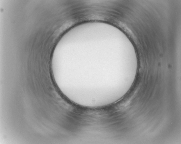 X0000088620625200706151853