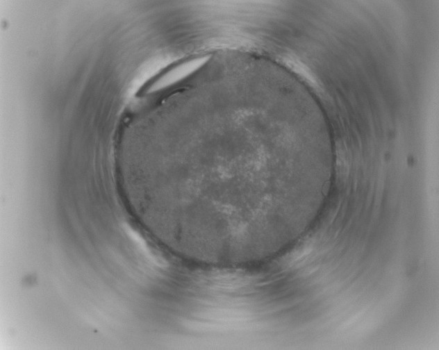 X0000088620626200706151853