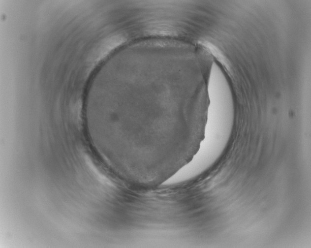 X0000088620627200706151853