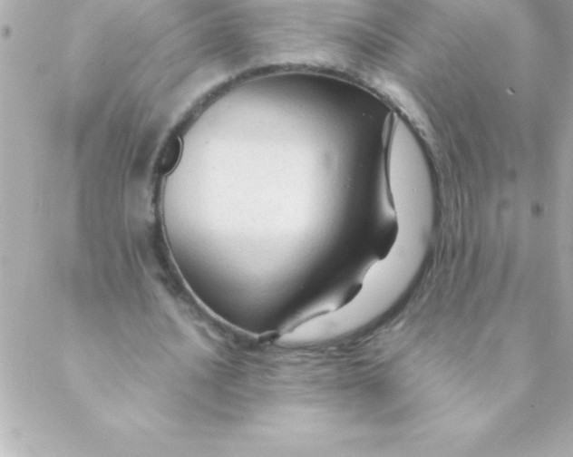 X0000088620628200706151853