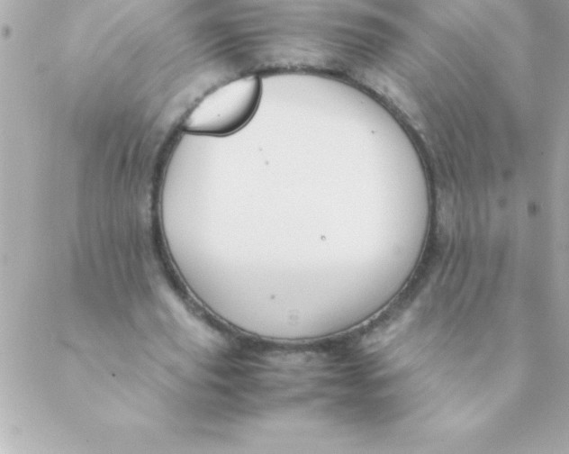 X0000088620629200706151853