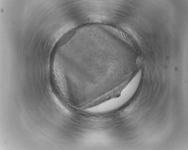 X0000088620630200706151853