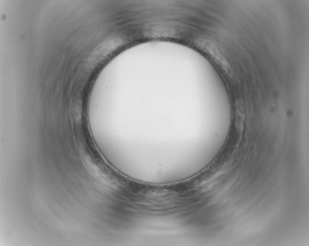 X0000088620631200706151853