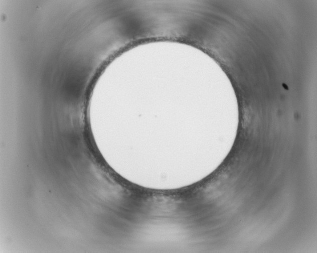 X0000088620632200706151853