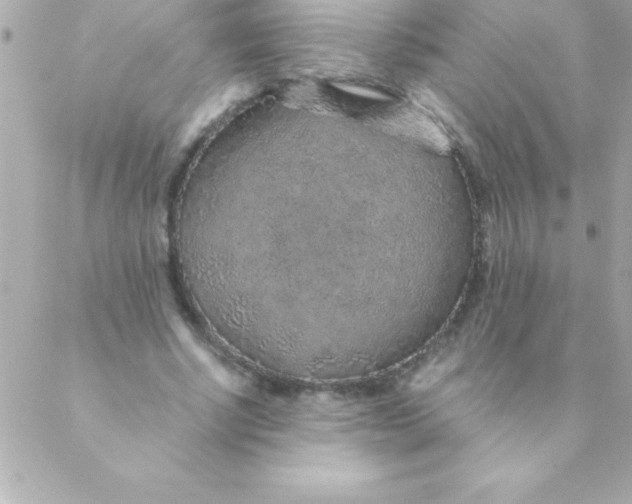 X0000088620634200706151853