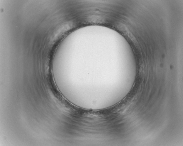 X0000088620635200706151853