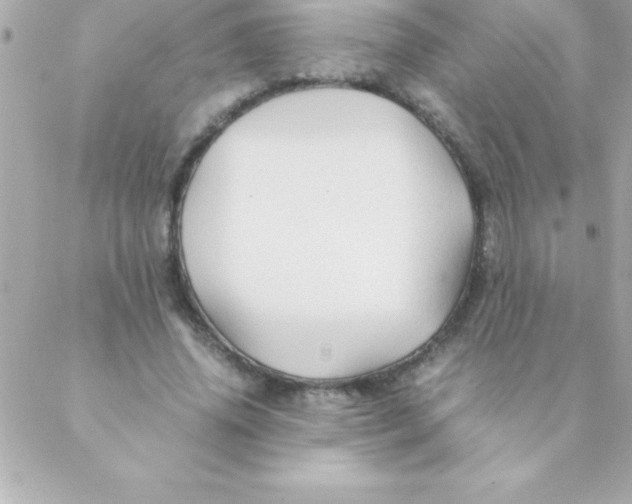 X0000088620636200706151853