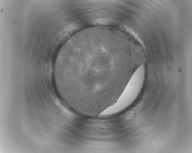 X0000088620637200706151853