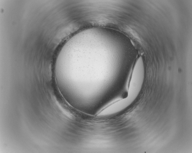 X0000088620638200706151853