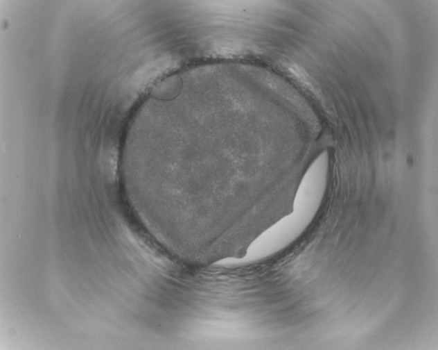 X0000088620640200706151853