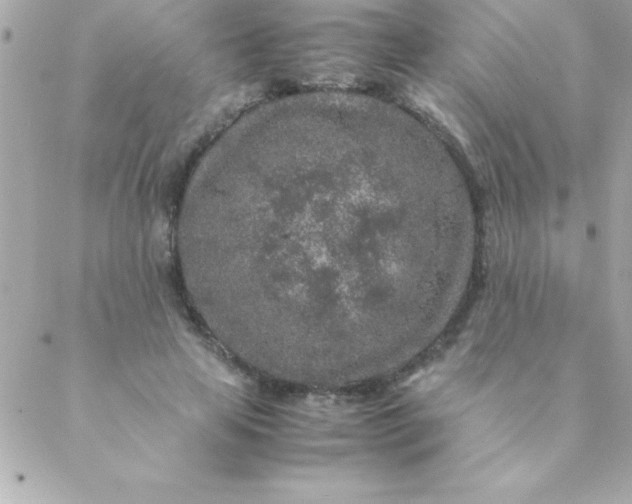 X0000088620641200706151853