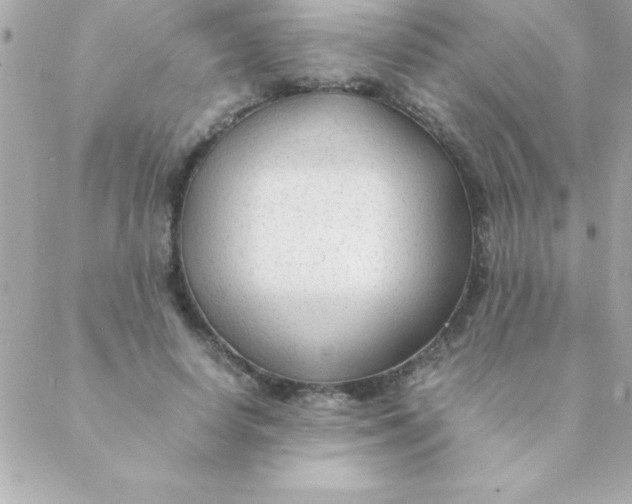 X0000088620642200706151853