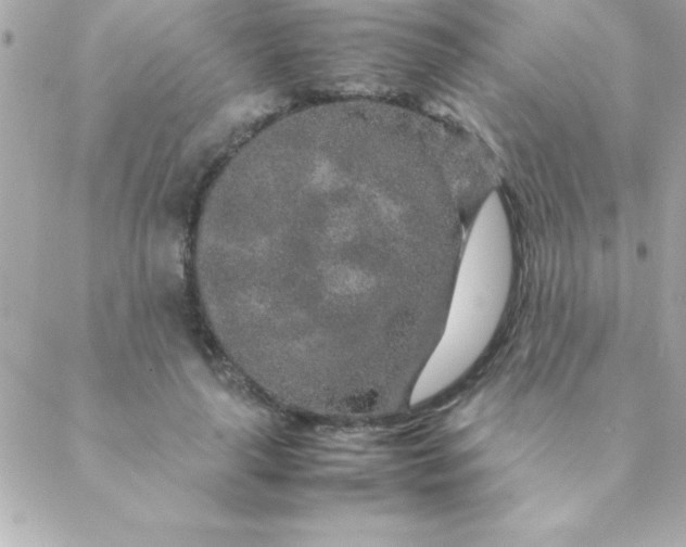 X0000088620643200706151853