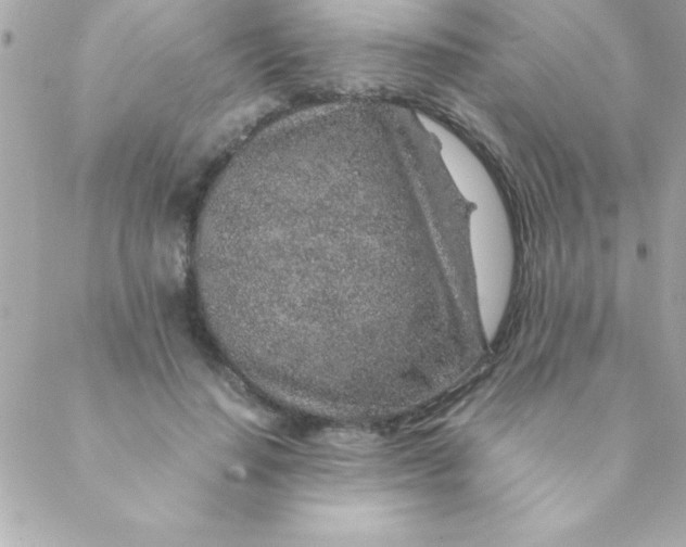 X0000088620644200706151853