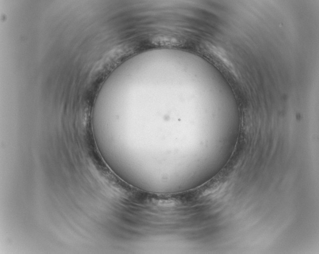 X0000088620645200706151853