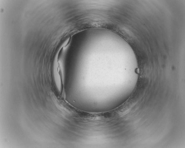 X0000088620646200706151853