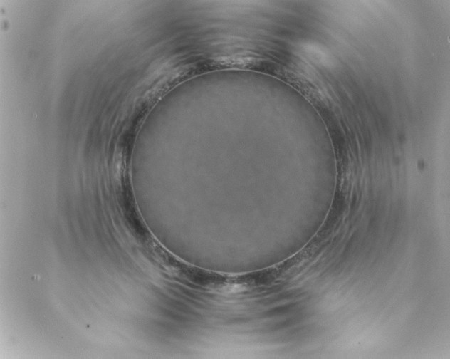 X0000088620647200706151853