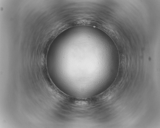 X0000088620649200706151853