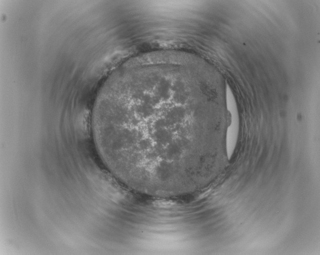 X0000088620650200706151853