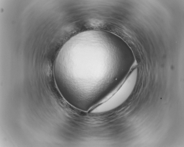 X0000088620651200706151853