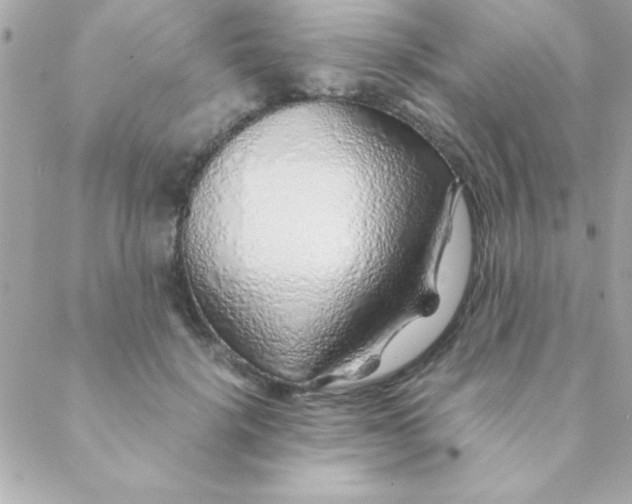 X0000088620652200706151853