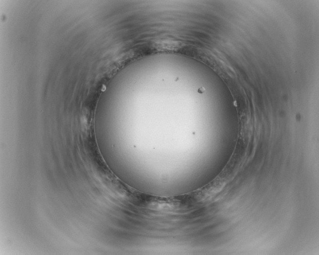 X0000088620655200706151853