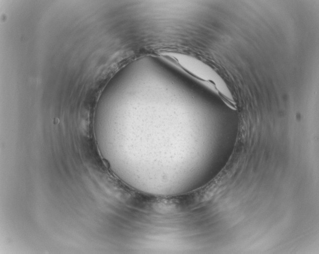 X0000088620656200706151853