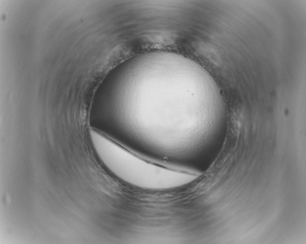 X0000088620657200706151853