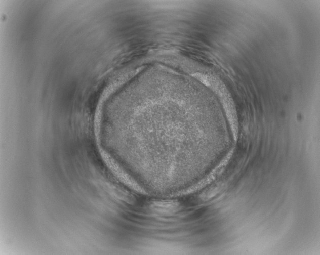 X0000088620659200706151853