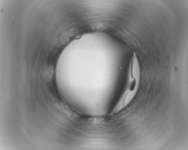 X0000088620660200706151853