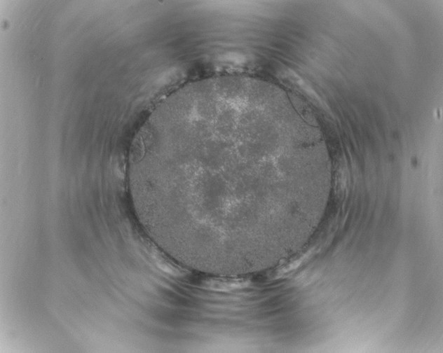 X0000088620661200706151853