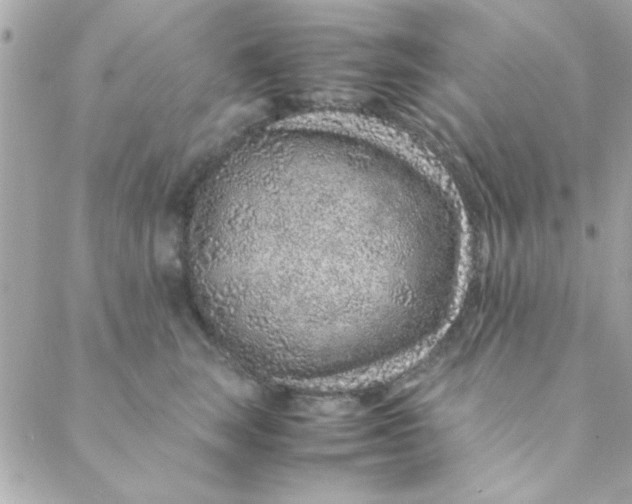 X0000088620663200706151853