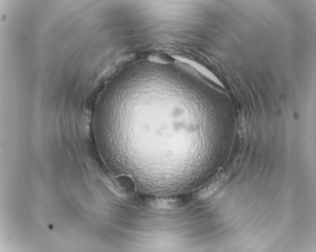 X0000088620664200706151853