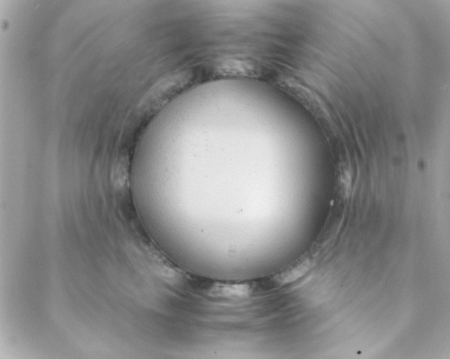 X0000088620665200706151853