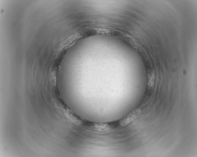 X0000088620666200706151853