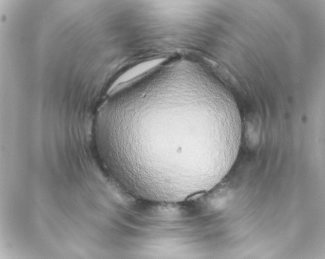 X0000088620668200706151853