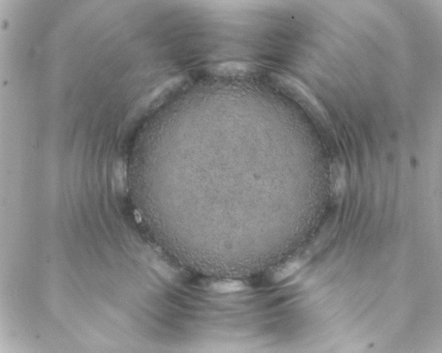 X0000088620669200706151853