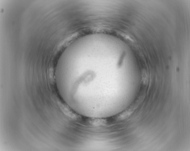 X0000088620670200706151853