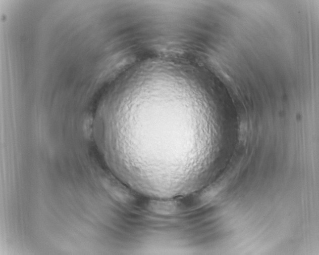 X0000088620671200706151853